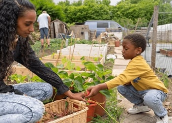 Seasonal Garden Prep (Spring & Autumn)