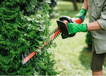 Gutter Clearing & Leaf Vacuuming