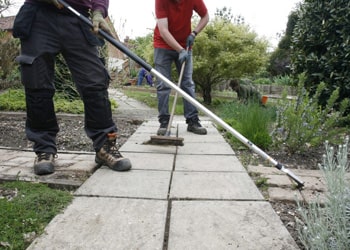 Weed & Moss Removal